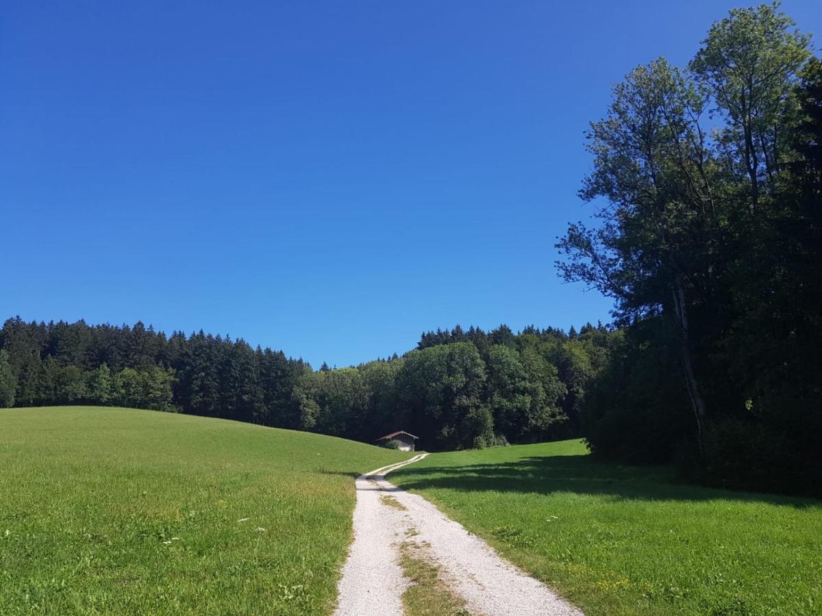 Ferienhaus Chiemgauer Auszeit- Chiemgaukarte Inclusive Siegsdorf Exteriér fotografie