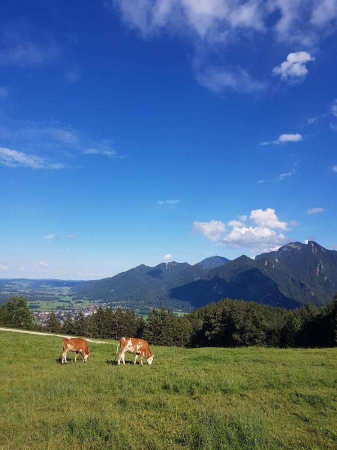 Ferienhaus Chiemgauer Auszeit- Chiemgaukarte Inclusive Siegsdorf Exteriér fotografie