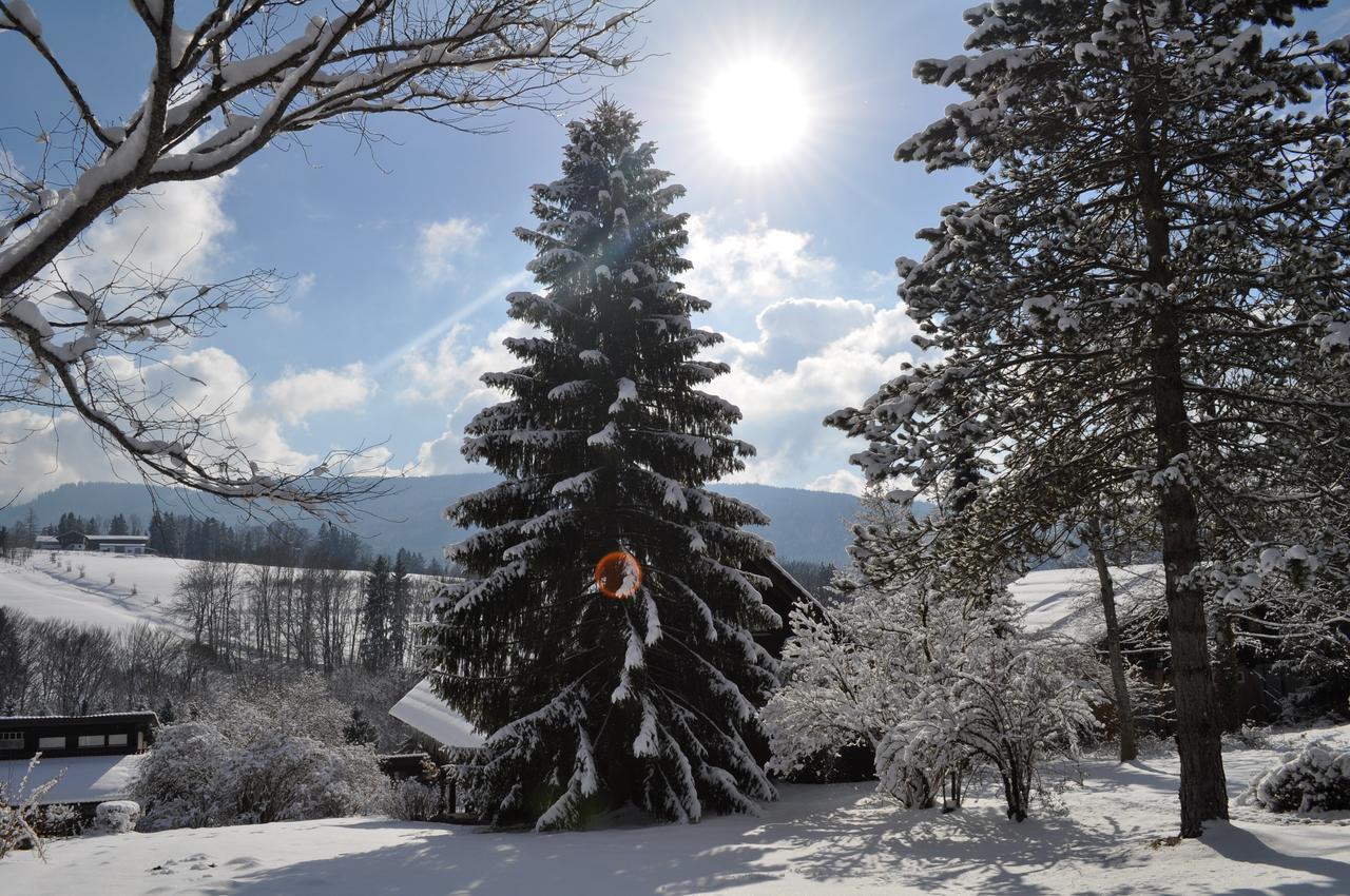 Ferienhaus Chiemgauer Auszeit- Chiemgaukarte Inclusive Siegsdorf Exteriér fotografie