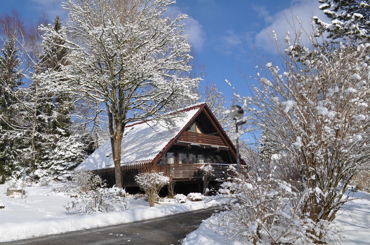 Ferienhaus Chiemgauer Auszeit- Chiemgaukarte Inclusive Siegsdorf Exteriér fotografie